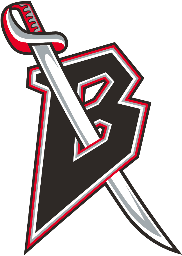 Buffalo Sabres 1996-1999 Alternate Logo v2 iron on heat transfer